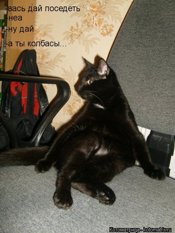 Котоматрица: -вась дай поседеть -неа -ну дай -а ты колбасы...