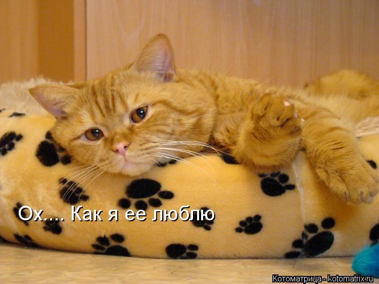 Котоматрица: Ох.... Как я ее люблю
