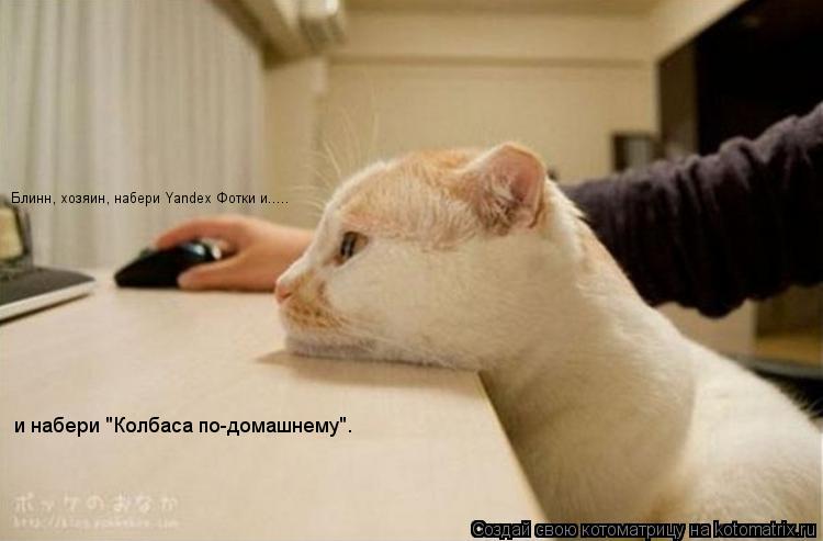 Котоматрица: Блинн, хозяин, набери Yandex Фотки и..... и набери "Колбаса по-домашнему".