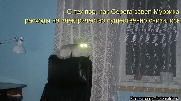 Котоматрица: С тех пор, как Серега завел Мурзика расходы на электричество существенно снизились.