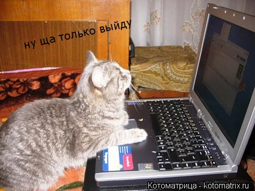 Котоматрица: ну ща только выйду