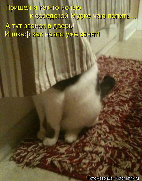 Котоматрица: Пришел я как-то ночью  к соседской Мурке чаю попить... А тут звонок в дверь! И шкаф как назло уже занят!