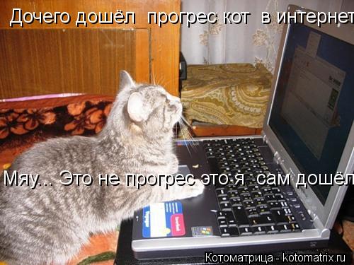 Котоматрица: Дочего дошёл  прогрес кот  в интернети? Дочего дошёл  прогрес кот  в интернет Мяу... Это не прогрес это я  сам дошёл!