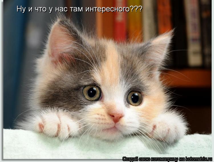 Регистрация представителей и координаторов в Ставропольском крае
