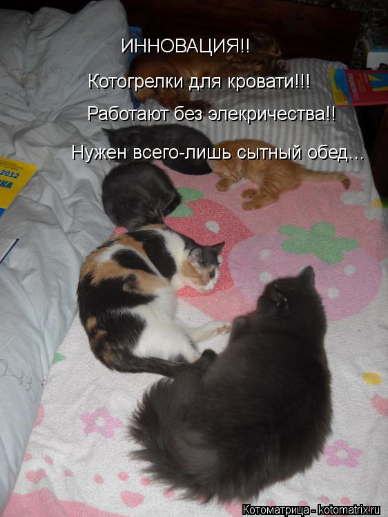ИННОВАЦИЯ!! Котогрелки для кровати!!! Работают без элекричества!! Нужен всего-лишь сытный обед...... Котоматрица: ИННОВАЦИЯ!! Котогрелки для кровати!!! Работают без элекричества!! Нужен всего-лишь сытный обед...