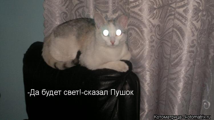 Котоматрица: -Да будет свет!-сказал Пушок