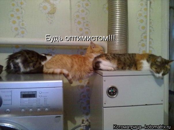 Котоматрица: Будь оптимистом!!!