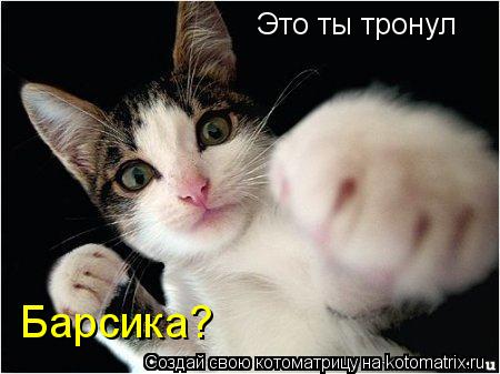 Котоматрица: Это ты тронул Барсика?