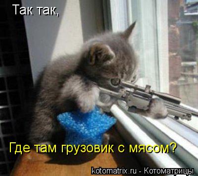 Котоматрица: Так так, Где там грузовик с мясом?