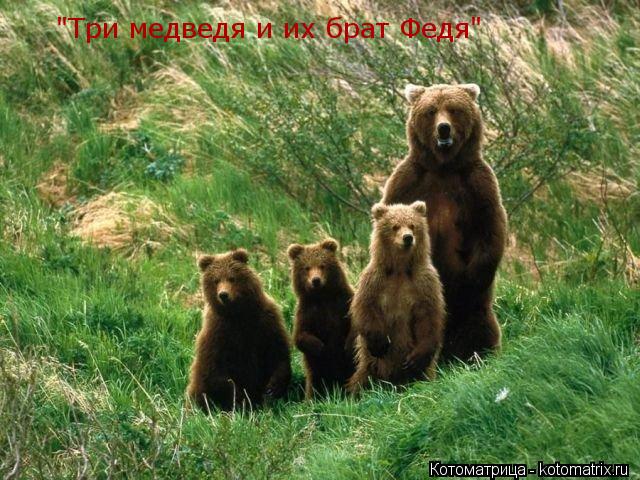 Котоматрица: "Три медведя и их брат Федя"