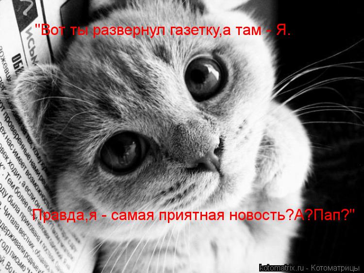 Котоматрица: "Вот ты развернул газетку,а там - Я. Правда,я - самая приятная новость?А?Пап?"