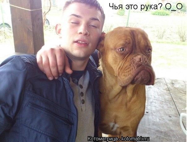 Котоматрица: Чья это рука? О_О