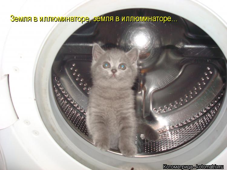 Котоматрица: Земля в иллюминаторе, земля в иллюминаторе...