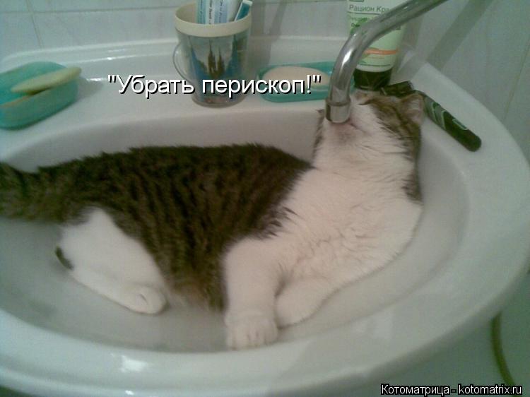 Котоматрица: "Убрать перископ!"
