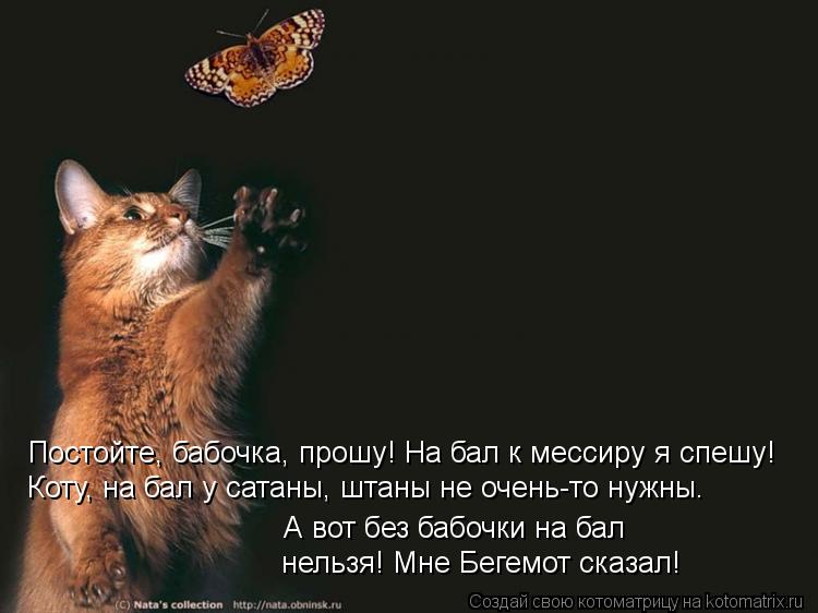 Постойте, бабочка, прошу! На бал к мессиру я спешу! Коту, на бал у сатаны, штаны не очень-то нужны. А... Котоматрица: Постойте, бабочка, прошу! На бал к мессиру я спешу! Коту, на бал у сатаны, штаны не очень-то нужны. А вот без бабочки на бал нельзя! Мне Бегемот