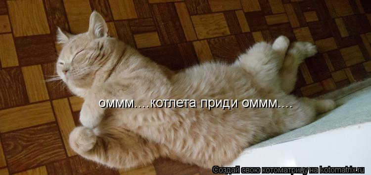Котоматрица: оммм....котлета приди оммм....