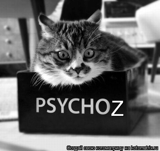 Котоматрица: Z