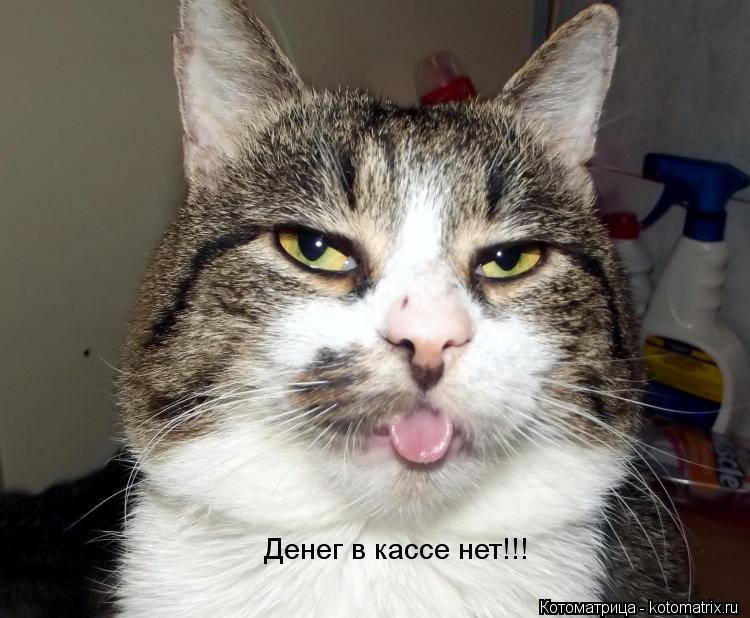 Котоматрица: Денег в кассе нет!!!