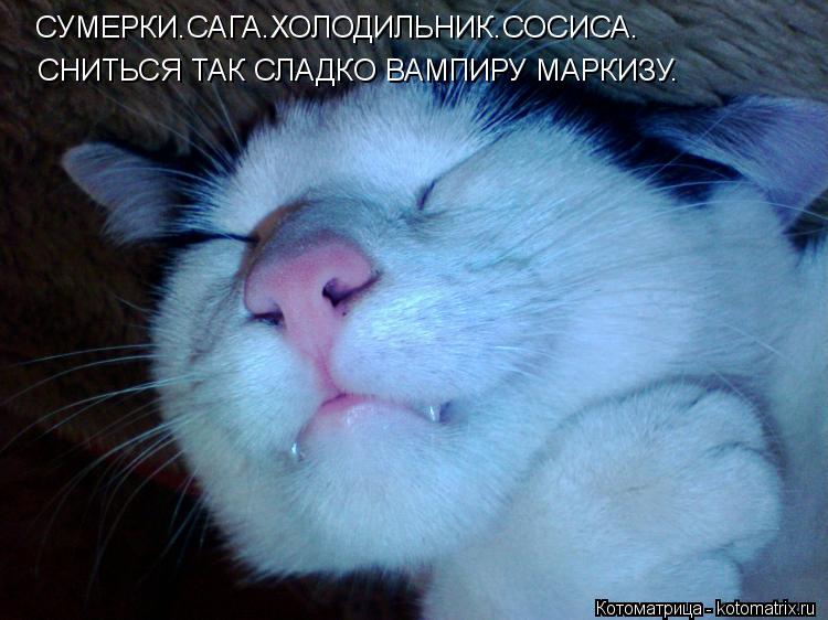 Котоматрица: СУМЕРКИ.САГА.ХОЛОДИЛЬНИК.СОСИСА. СНИТЬСЯ ТАК СЛАДКО ВАМПИРУ МАРКИЗУ.