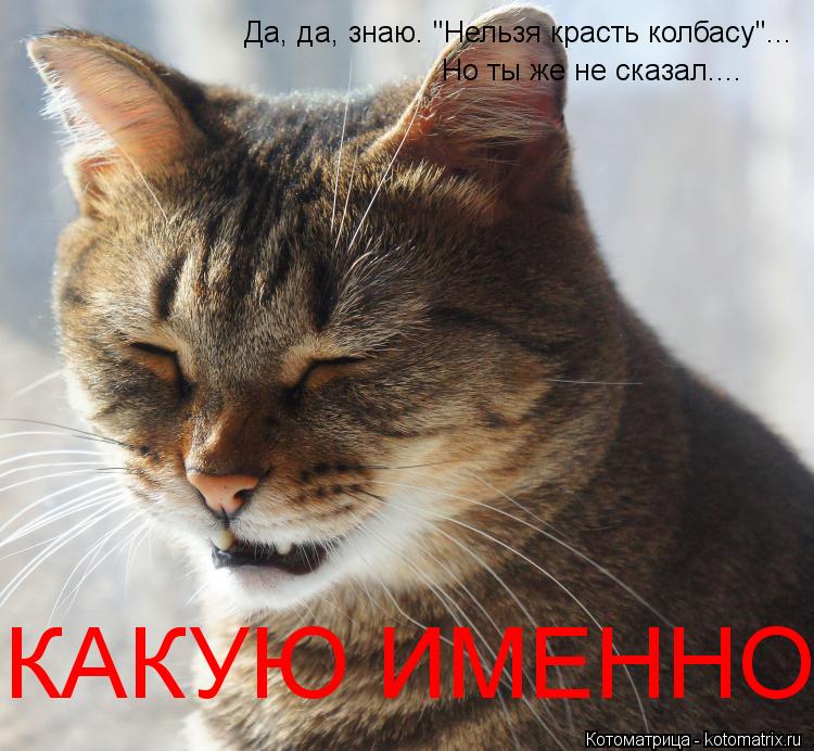 Котоматрица: Да, да, знаю. "Нельзя красть колбасу"... Но ты же не сказал.... КАКУЮ ИМЕННО