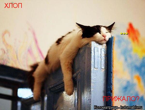 Котоматрица: ХЛОП *** ПРИЖАЛО?