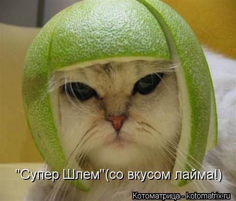 Котоматрица: "Супер Шлем"(со вкусом лайма!)