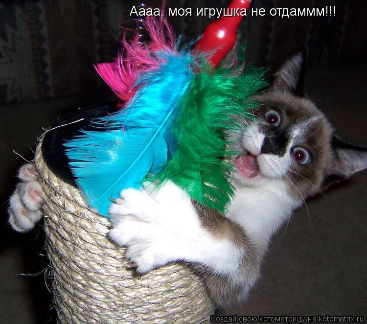 Котоматрица: Аааа, моя игрушка не отдаммм!!!