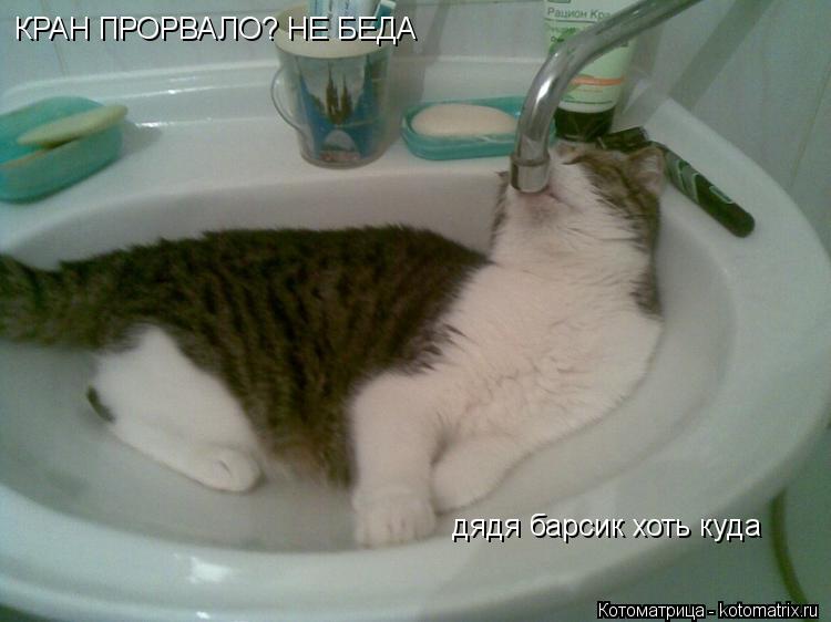 Котоматрица: КРАН ПРОРВАЛО? НЕ БЕДА дядя барсик хоть куда