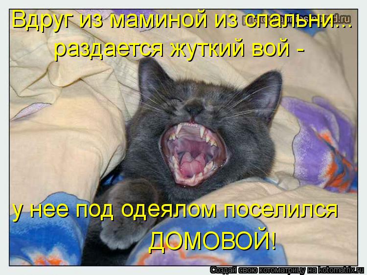 Вдруг из маминой из спальни... у нее под одеялом поселился ДОМОВОЙ! раздается жуткий вой -... Котоматрица: Вдруг из маминой из спальни... у нее под одеялом поселился ДОМОВОЙ! раздается жуткий вой -