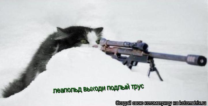 Котоматрица: леапольд выходи подлый трус
