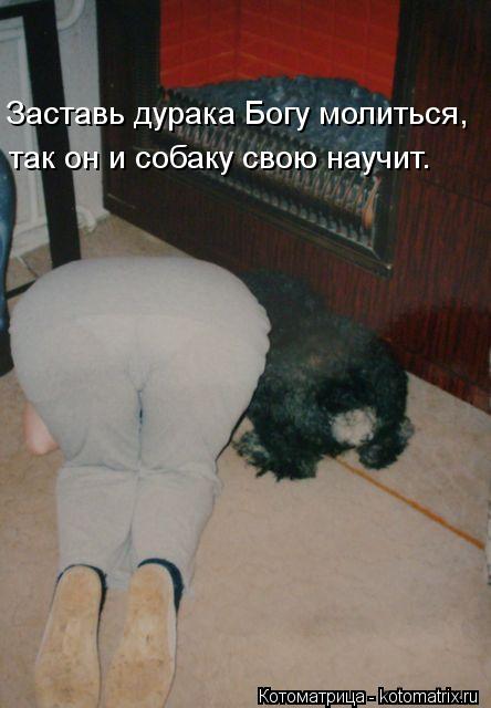 Заставь дурака Богу молиться, так он и собаку свою научит.... Котоматрица: Заставь дурака Богу молиться, так он и собаку свою научит.