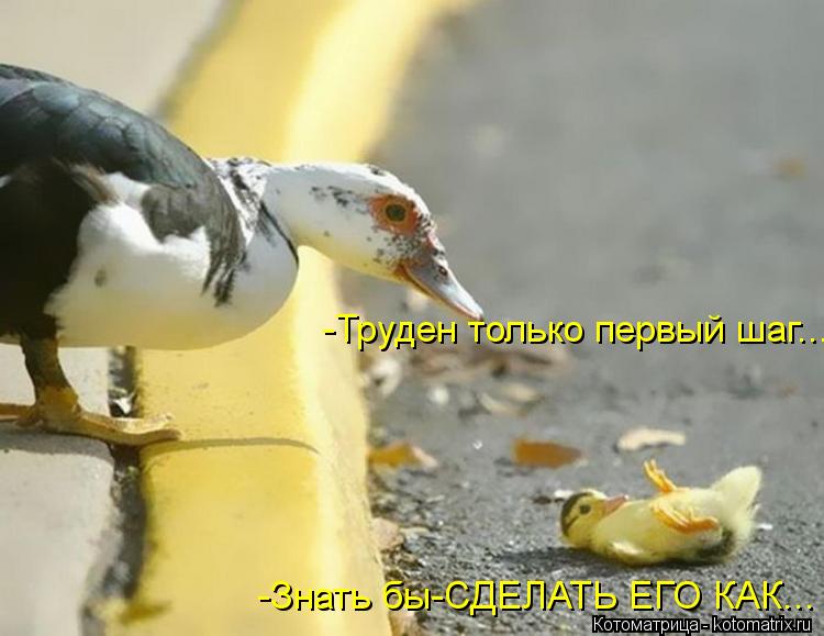 -Труден только первый шаг... -Знать бы-СДЕЛАТЬ ЕГО КАК...... Котоматрица: -Труден только первый шаг... -Знать бы-СДЕЛАТЬ ЕГО КАК...