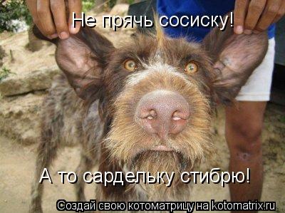Не прячь сосиску! А то сардельку стибрю!... Котоматрица: Не прячь сосиску! А то сардельку стибрю!
