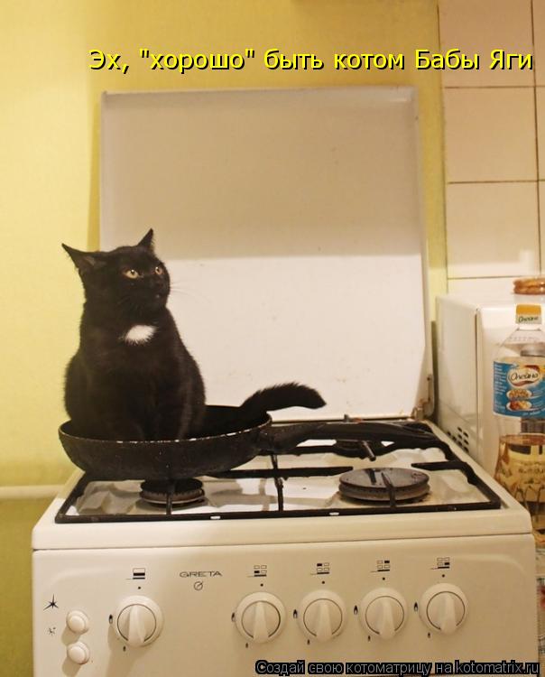 Эх, "хорошо" быть котом Бабы Яги... Котоматрица: Эх, "хорошо" быть котом Бабы Яги
