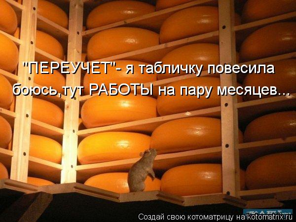 Котоматрица: "ПЕРЕУЧЕТ"- я табличку повесила боюсь,тут РАБОТЫ на пару месяцев...