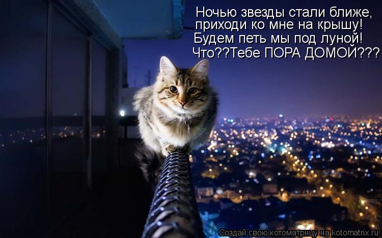 Ночью звезды стали ближе, приходи ко мне на крышу! Будем петь мы под луной! Что??Тебе ПОРА ДОМОЙ???... Котоматрица: Ночью звезды стали ближе, приходи ко мне на крышу! Будем петь мы под луной! Что??Тебе ПОРА ДОМОЙ???