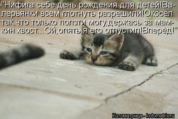 "Нифига себе день рождения для детей!Ва- лерьянки всем глотнуть разрешили!Окосел так,что только ползт... Котоматрица: "Нифига себе день рождения для детей!Ва- лерьянки всем глотнуть разрешили!Окосел так,что только ползти могу,держась за мам- кин хвост...Ой,оп
