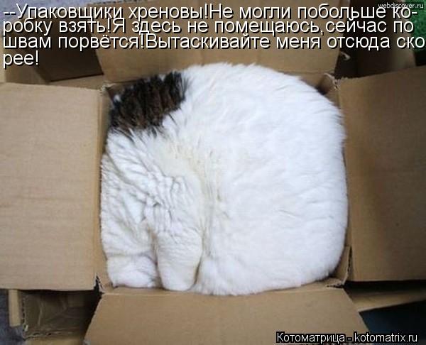 Котоматрица: --Упаковщики хреновы!Не могли побольше ко- робку взять!Я здесь не помещаюсь,сейчас по швам порвётся!Вытаскивайте меня отсюда ско- рее!