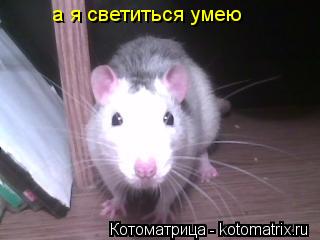а я светиться умею... Котоматрица: а я светиться умею