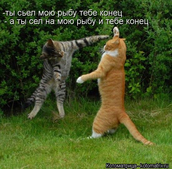 Котоматрица: -ты сьел мою рыбу тебе конец - а ты сел на мою рыбу и тебе конец