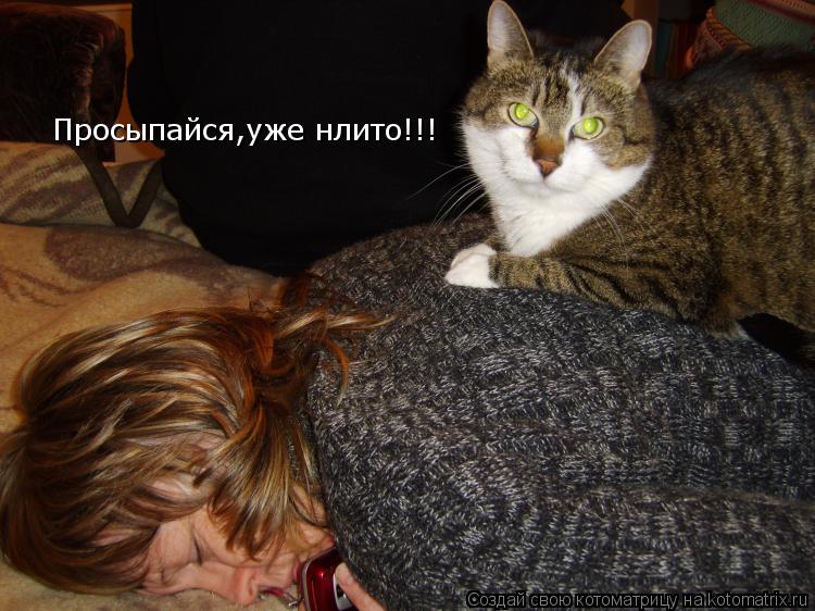 Котоматрица: Просыпайся,уже нлито!!!