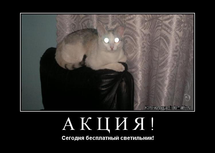 Акция! Сегодня бесплатный светильник!... Котоматрица: Акция! Сегодня бесплатный светильник!