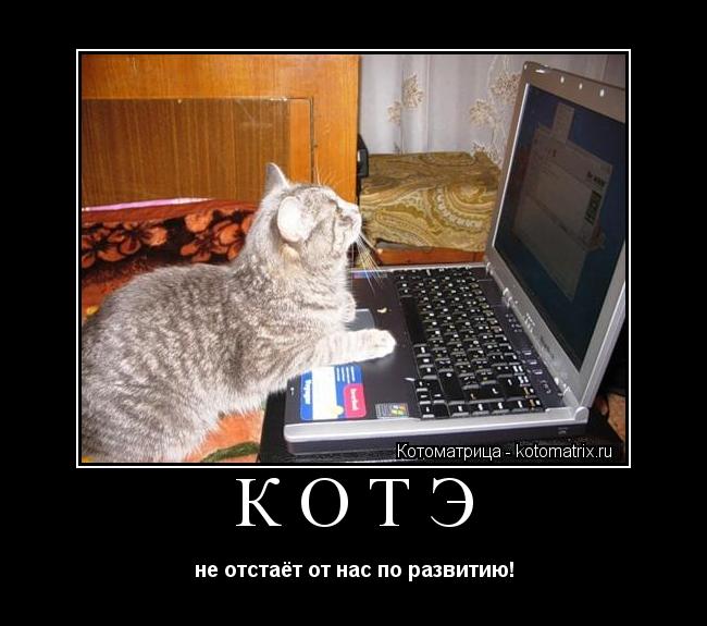 КотЭ не отстаёт от нас по развитию!... Котоматрица: КотЭ не отстаёт от нас по развитию!