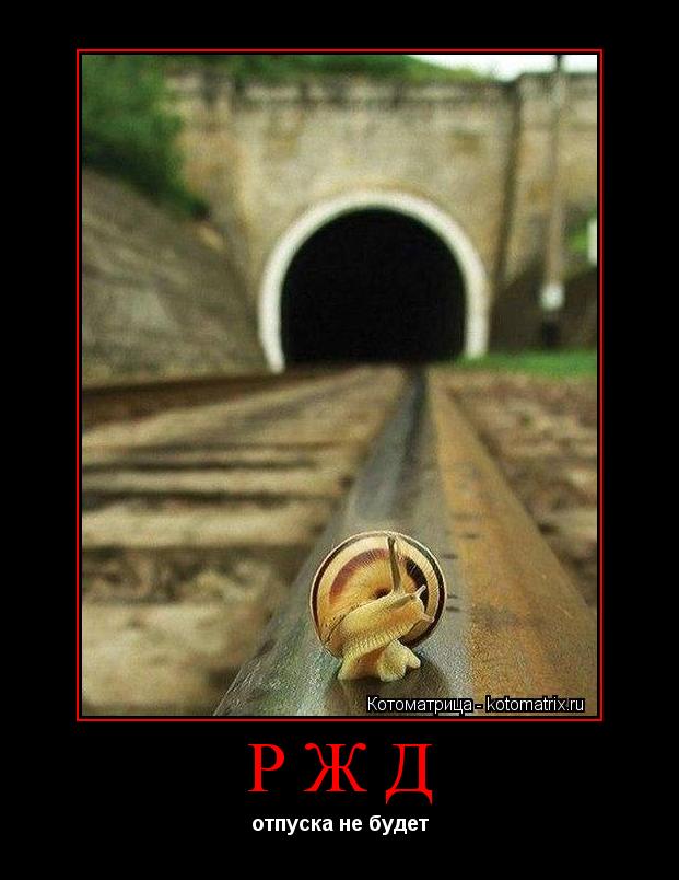 Котоматрица: ржд отпуска не будет