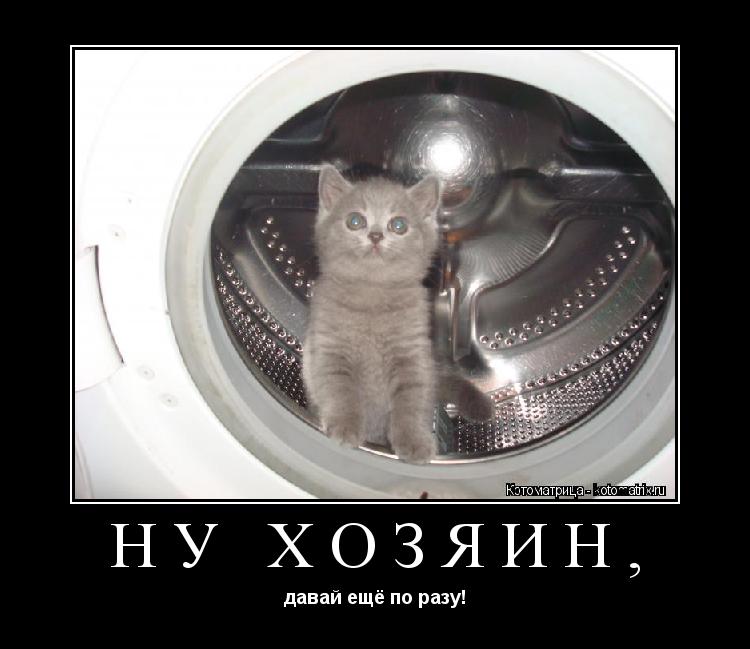 Котоматрица: Ну Хозяин, давай ещё по разу!
