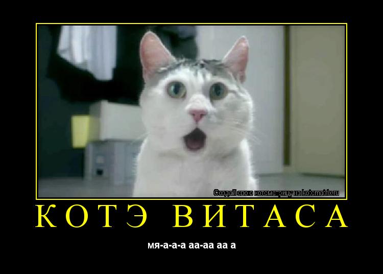 котэ витаса мя-а-а-а аа-аа аа а... Котоматрица: котэ витаса мя-а-а-а аа-аа аа а