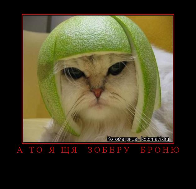 Котоматрица:  
