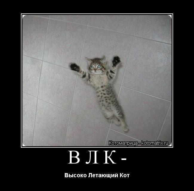 Котоматрица: ВЛК- Высоко Летающий Кот