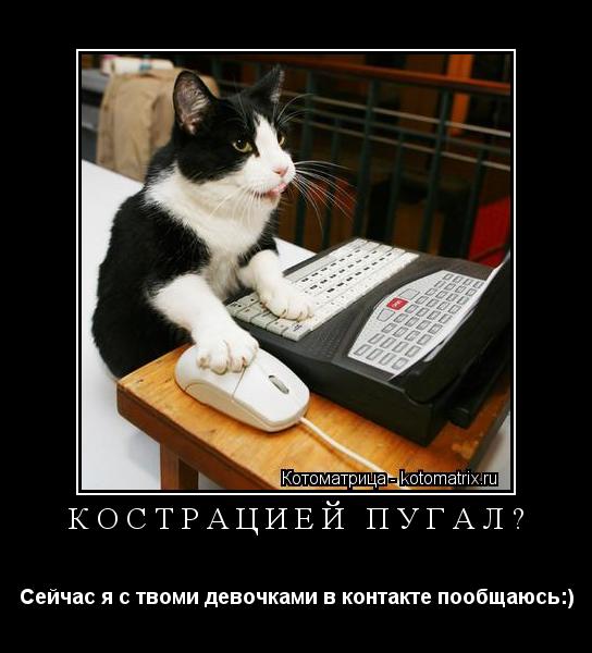 Котоматрица: Кострацией пугал? Сейчас я с твоми девочками в контакте пообщаюсь:)