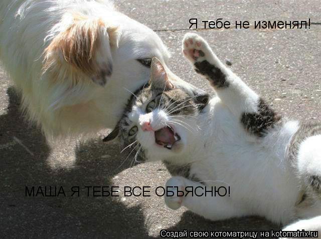 Котоматрица: МАША Я ТЕБЕ ВСЕ ОБЪЯСНЮ! Я тебе не изменял!